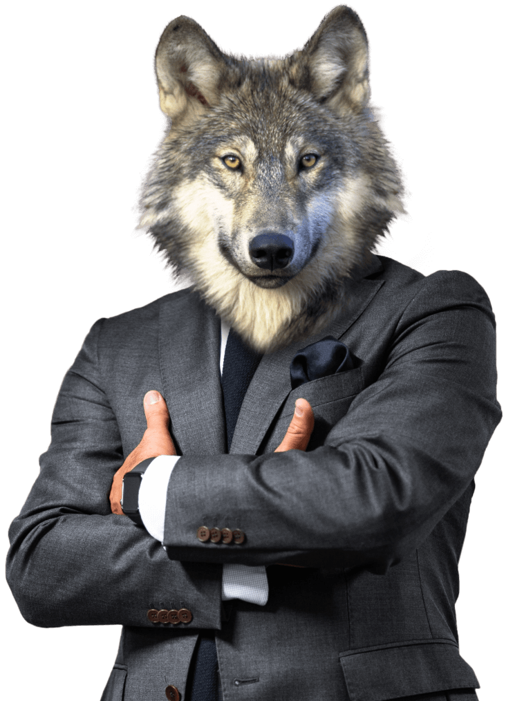 Kobeyo wolf